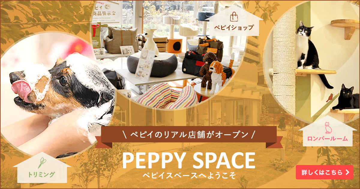 PEPPY SPACE（ペピイスペース）｜ぺピイ直営店舗